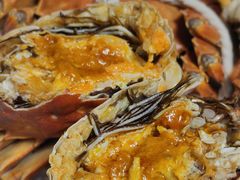 -阳澄湖大闸蟹·琼灵阁牌品牌连锁(吴中总店)