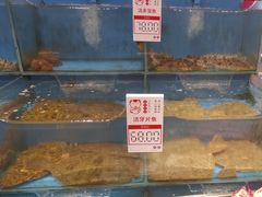 -添福来墨鱼饺子 · 海鲜东北菜(大连星海·黄浦路店)