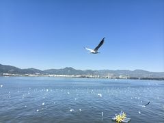 -海埂大坝