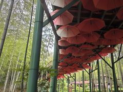 -陶祖圣境风景区