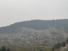 -阿五黄河大鲤鱼(纬三路店)