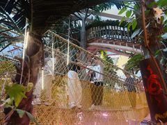 -正佳雨林生态植物园