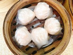 -宝塘茶楼