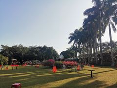 -侯臣咖啡文化村