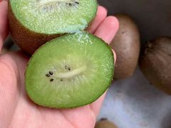 -菜园坝水果市场