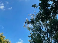 -弄堂里(雨花客厅店)