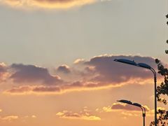 -合肥滨湖国家森林公园