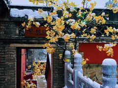 -潭柘寺景区