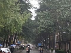 -四川大学(望江校区)
