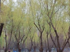 -暨阳湖生态园