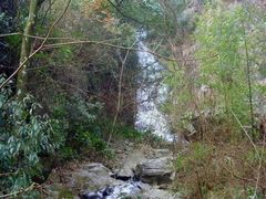 -太湖源风景区