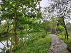 -西溪国家湿地公园