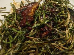 -新吉士·上海菜(浦东LCM置汇旭辉店)