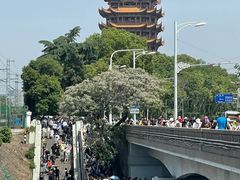 -黄鹤楼公园(黄鹤楼)