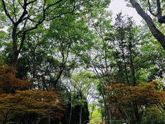 -新江湾城公园