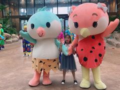 -杭州开元森泊度假乐园