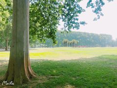 -河南省黄河迎宾馆