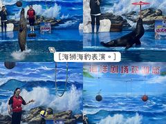 -左海海底世界