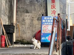 -重庆特色冷锅鱼(武大店)