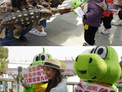 -中国西峡恐龙遗迹园