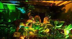 -恐龙探索乐园(磁器口店)