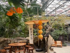 -世外桃源农庄·德清土菜(兴康南路店)