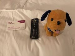 -西双版纳融创皇冠假日度假酒店