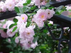 -老门东历史文化街区