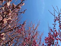 -蜀冈西峰生态公园