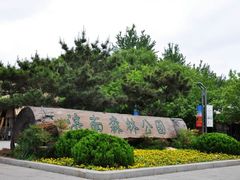 -济南森林公园