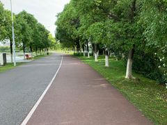 -艾溪湖湿地公园