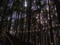 -山王坪喀斯特国家生态公园