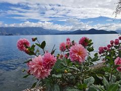 -丽江泸沽湖景区