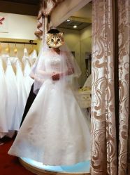 -全城热恋璀璨婚纱摄影(国贸总店)
