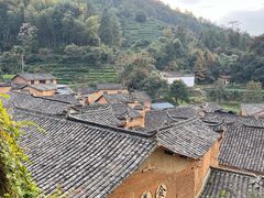 -杨家堂村