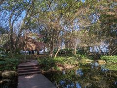 -绿城千岛湖喜来登度假酒店
