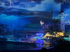 -海合安武汉极地海洋公园