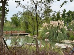 -中国天府农业博览园