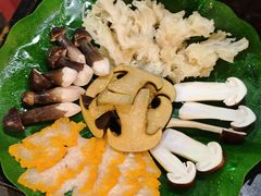 -钢管厂五区小郡肝串串香火锅(梅川路店)