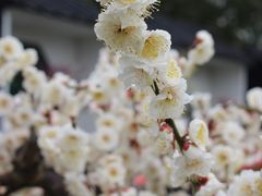 -太湖面馆十八浇(渔港路店)