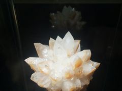 -中华赏石园