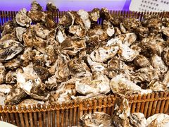 -圣罗巴海鲜烤肉自助(赤峰店)