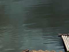 -渔梁坝