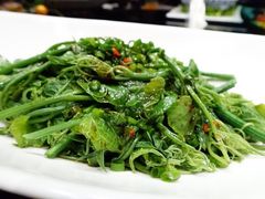南瓜芽-马仕玖煲·融合菜·酥不腻烤鸭(人大店)