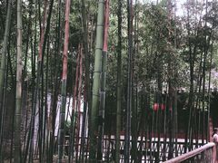 -天一阁博物院