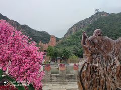 -京东石林峡风景区