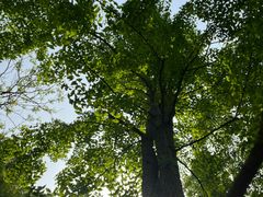 -拙政园