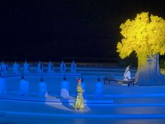 -鼎盛王朝康熙大典实景演出