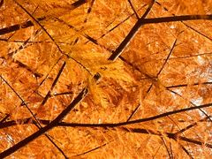 -南京市无想山景区