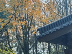 -西湖风景区十里琅珰-五云山